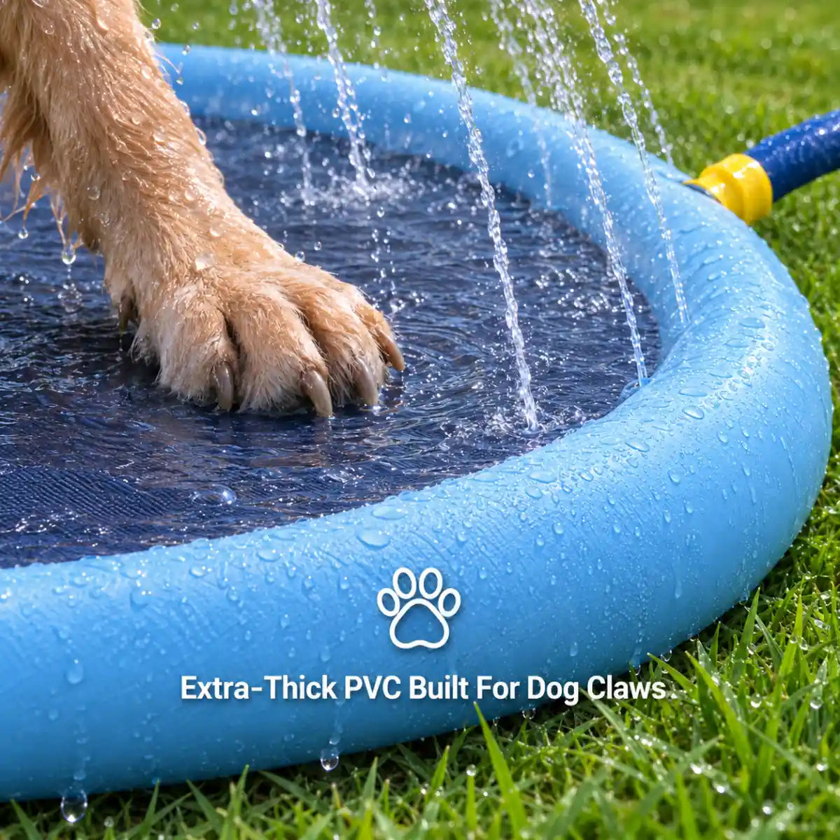 Close-up of a dog's claws on the extra-thick PVC surface of the splash pad, showing the durable inflatable ring