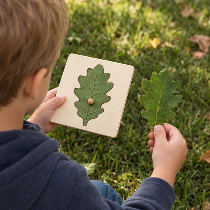 Over-the-shoulder view of a boy comparing the oak leaf puzzle board to a real oak leaf