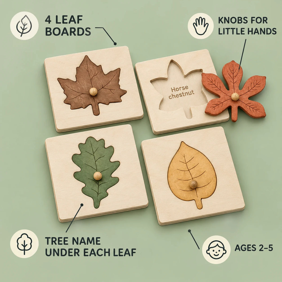 Leaf puzzle features: 4 leaf boards, knobs for little hands, tree name under each leaf, ages 2 to 5